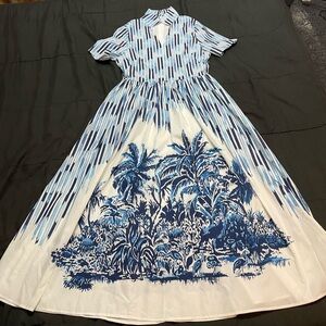 Blue and White Maxi Dress